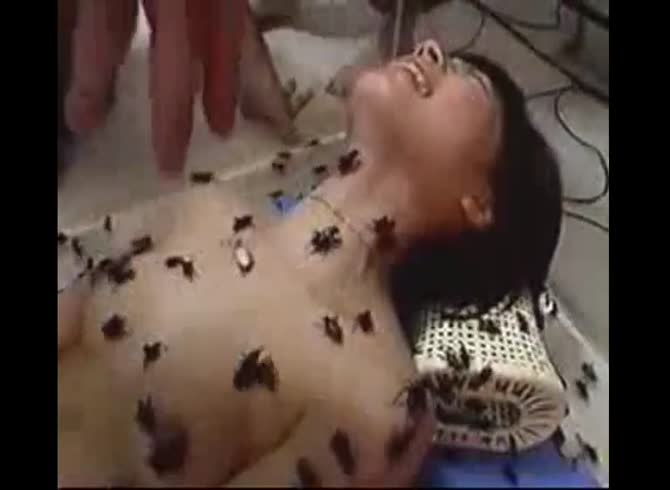 Video :Nasty skinny Asian teen got her naked body covered with insects 